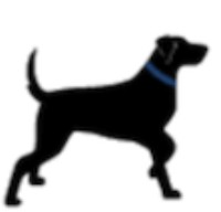 Lycos